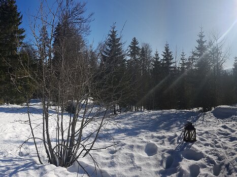 Xavier Xavier L, détail sortie