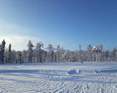 016 Alors... on mitraille !