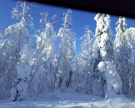 056 Retout à l'hôtel en bus...