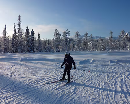P1050291 Direction Latvamaja