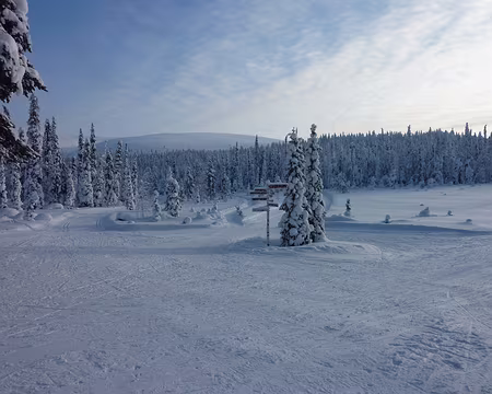 P1050299 Depuis Kotamaja