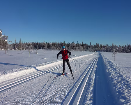 P1050308 Entre Latvamaja et Villen kamppa