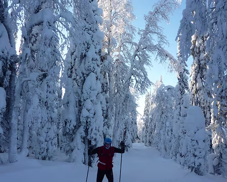 P1050314 En direction de Pyhajarvi