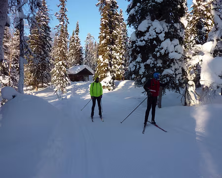 P1050317 Près de Pyhajarvi