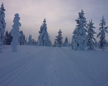 P1050319 Fabuleuse piste entre Pyhakota et Kutujarvi