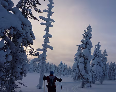 P1050321 Fabuleuse piste entre Pyhakota et Kutujarvi