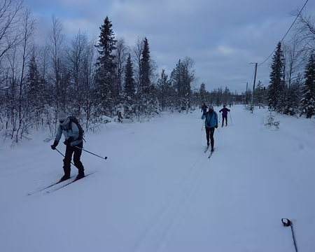 P1050324 Protection maximale ce matin là