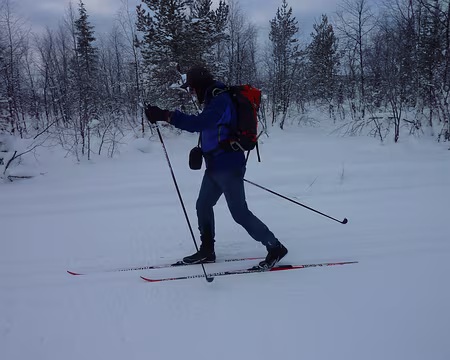 P1050327 Protection maximale ce matin là