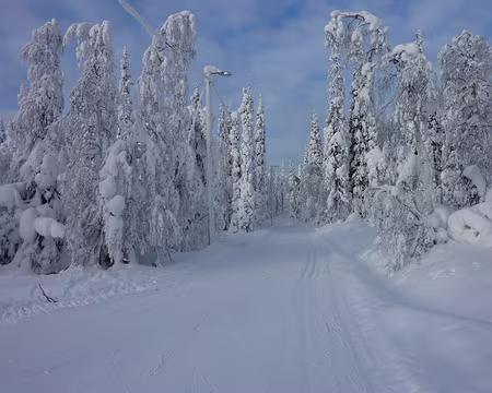 P1050335 Montée à Tunturijarvi