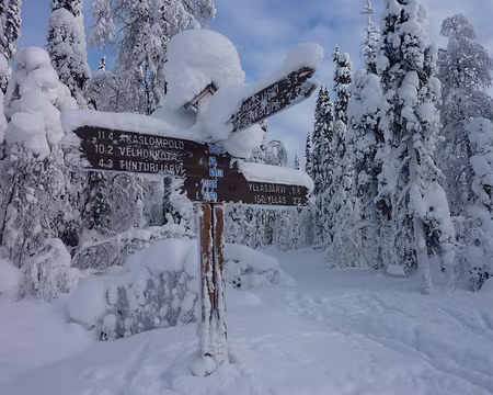 P1050336 Pas facile de retenir tous ces noms