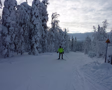 P1050337 Montée à Tunturijarvi