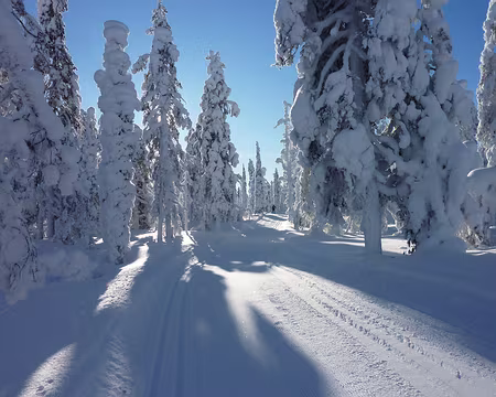 P1050357 Boucle nord au départ d'Akasmylly