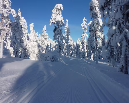 P1050358 Boucle nord au départ d'Akasmylly