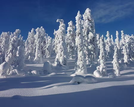 P1050359 Boucle nord au départ d'Akasmylly