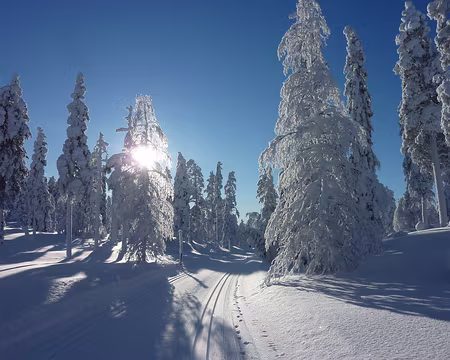 P1050360 Boucle nord au départ d'Akasmylly
