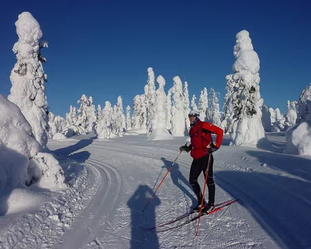 P1050382 Au Iso Totovaara