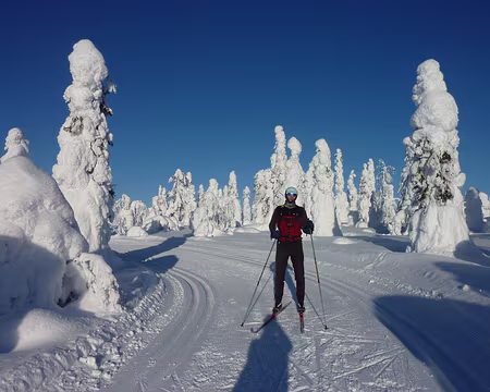 P1050384 Au Iso Totovaara