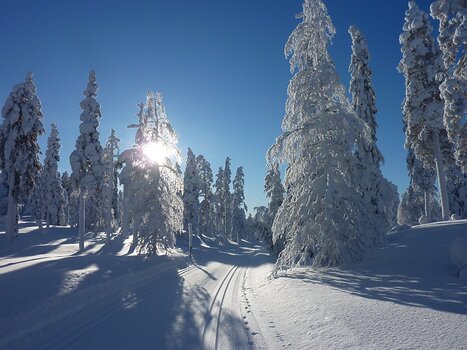 Emmanuel Emmanuel K, détail sortie