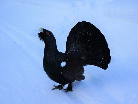 Jean Jean M, détail sortie