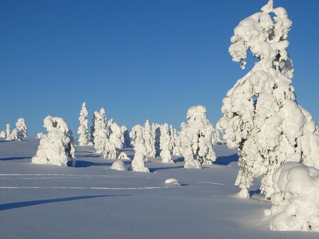 Jean-Louis Jean-Louis M, détail sortie