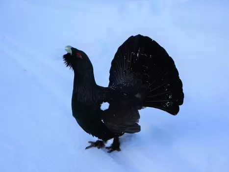 Jean Jean M, détail sortie