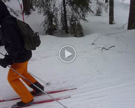 Adélaïde et Louise