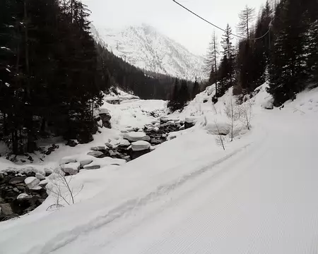 DSC07481