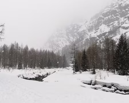 IMG_20180310_111003 dav