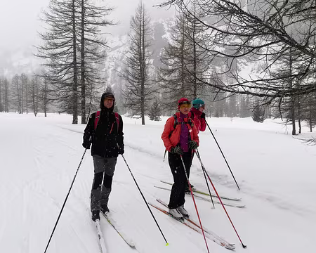 IMG_20180310_114014 dav