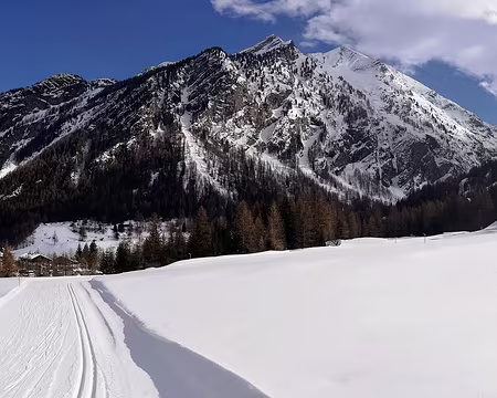 IMG_20180310_143941_stitch dav