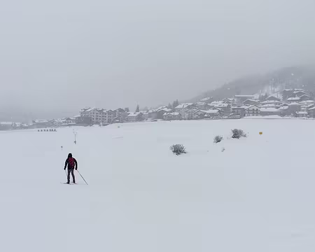 IMG_20180311_093951 dav