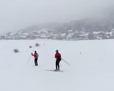 IMG_20180311_094028 dav