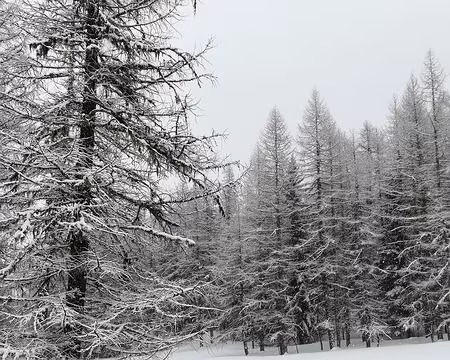 IMG_20180311_112925 dav