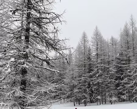 IMG_20180311_112927 dav