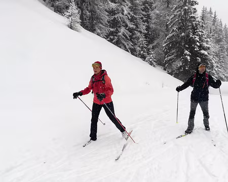 IMG_20180311_144548 dav