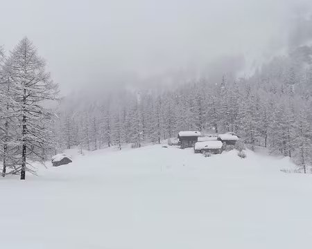 IMG_20180311_153732 dav