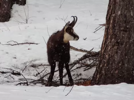 Jean-Philippe Jean-Philippe S, détail sortie