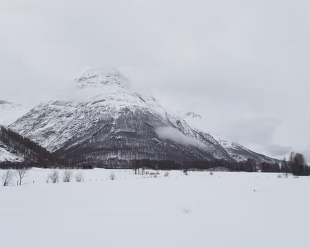 013_PC161013 Dimanche il fait gris, mais sans la neige ni la pluie annoncées.