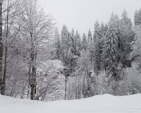 007_P1121193 Le Creux de l'Olette