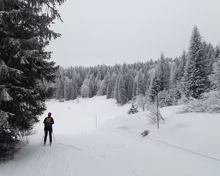 008_P1121195 Bellecombe