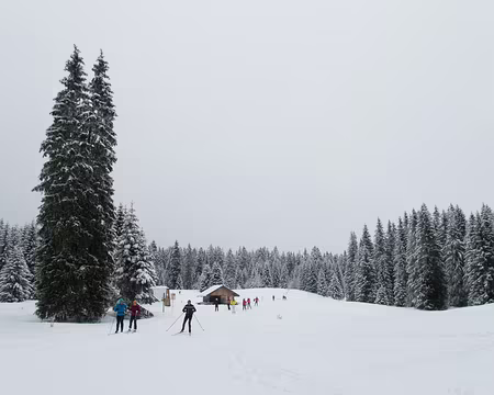 014_P1131220 Larcoutier