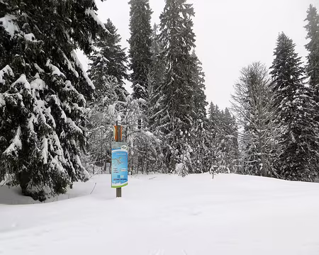 IMG_5570 (2) Au carrefour du Massacre