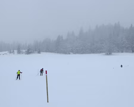 IMG_5582 Dans la Combe à la Chèvre