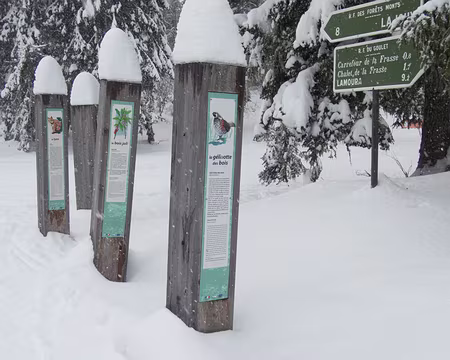 005_P1261253 Carrefour du Massacre