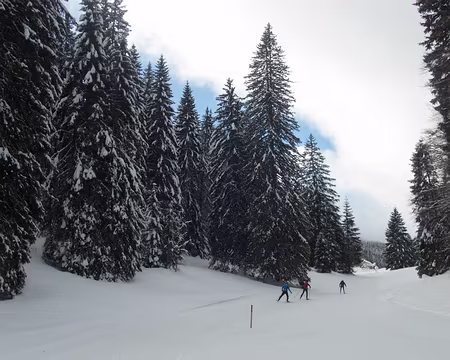 008_P1271262 Du bleu dans le ciel !