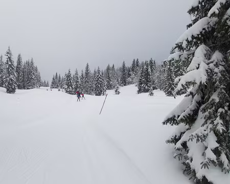 010_P1271275 Combe à la Chèvre