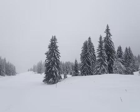 012_P1271283 Combe à la Chèvre