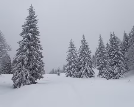 013_P1271284 Combe à la Chèvre