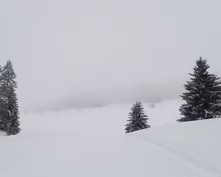 016_P1271289 Combe à la Chèvre