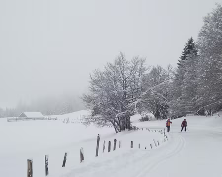 019_P1271296 Retour par la GTJ